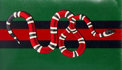 what kind of snake is the gucci python|gucci snake collection.